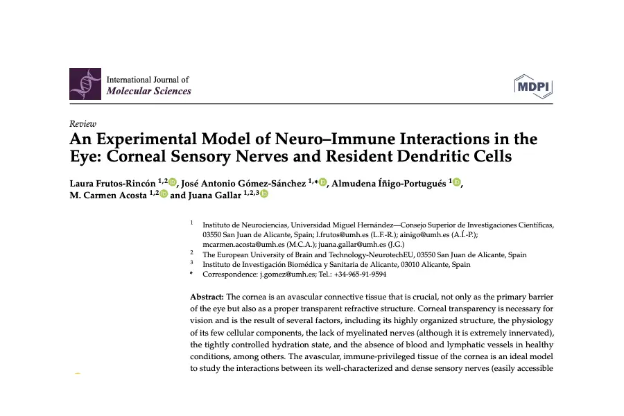 An Experimental Model of Neuro-Immune Interactions in the Eye: Corneal Sensory Nerves and Resident Dendritic Cells