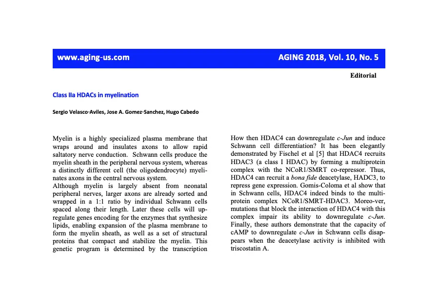 Class IIa HDACs in myelination