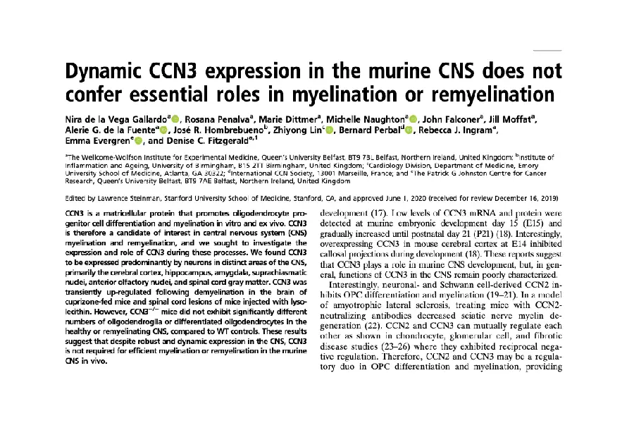Dynamic CCN3 expression in the murine CNS does not confer essential roles in myelination or remyelination