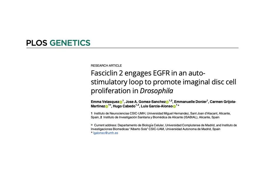 Fasciclin 2 engages EGFR in an auto-stimulatory loop to promote imaginal disc cell proliferation in Drosophila