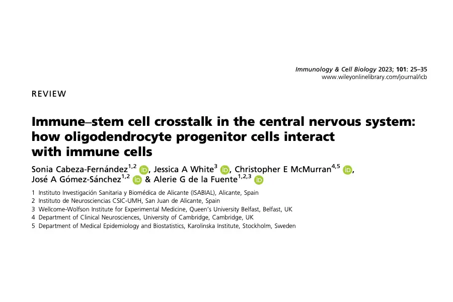 Immune–stem cell crosstalk in the central nervous system: how oligodendrocyte progenitor cells interact with immune cells