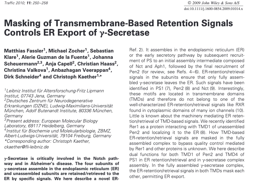 Masking of transmembrane-based retention signals controls ER export of gamma-secretase.