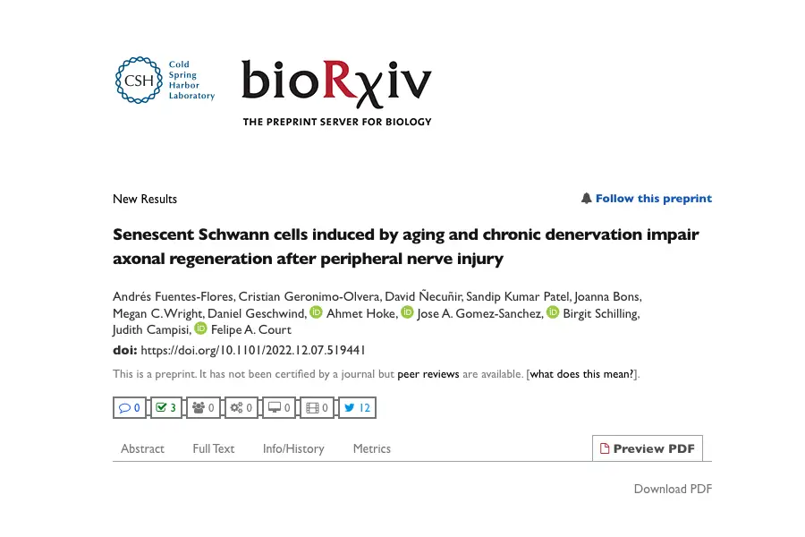 Senescent Schwann cells induced by aging and chronic denervation impair axonal regeneration after peripheral nerve injury