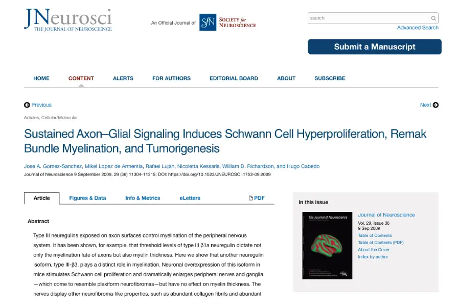 Sustained Axon-Glial Signaling Induces Schwann Cell Hyperproliferation, Remak Bundle Myelination, and Tumorigenesis
