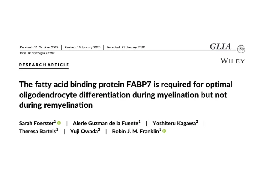 The fatty acid binding protein FABP7 is required for optimal oligodendrocyte differentiation during myelination but not during remyelination.