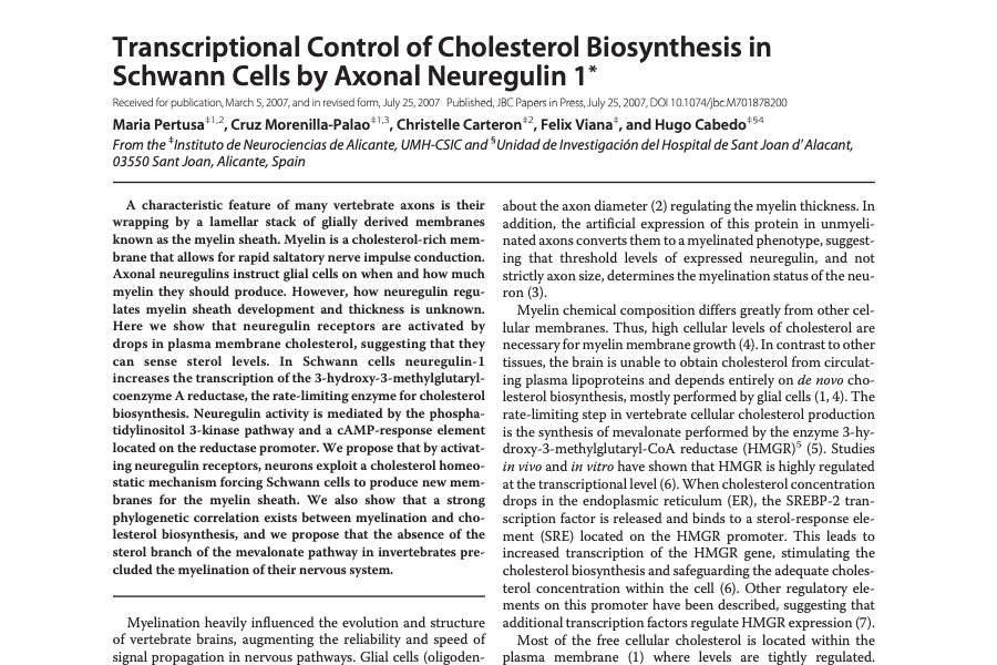 Transcriptional control of cholesterol biosynthesis in schwann cells by axonal neuregulin 1
